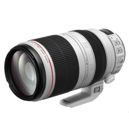 CANON L SERIES 100/400mm IS USM F*4,5-5,6